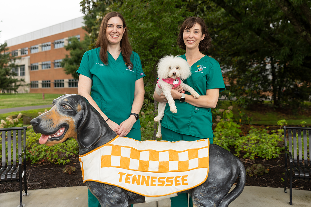 Veterinary Obesity Center care team at UTCVM posing with Smokey Statue.