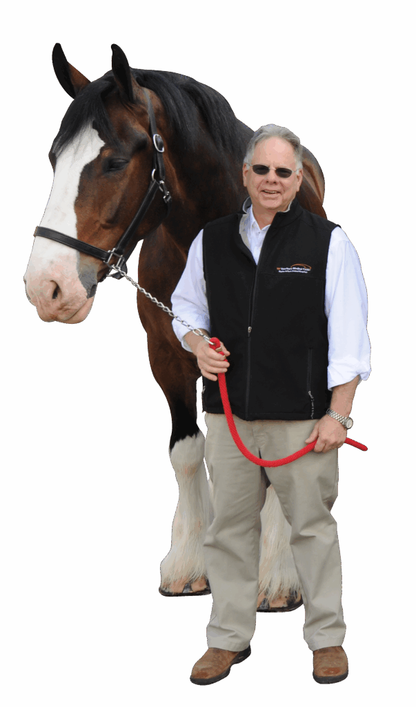 Steve Adair and Budweiser Clydesdale.