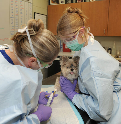 Patient receiving love and care during a chemotherapy treatment.