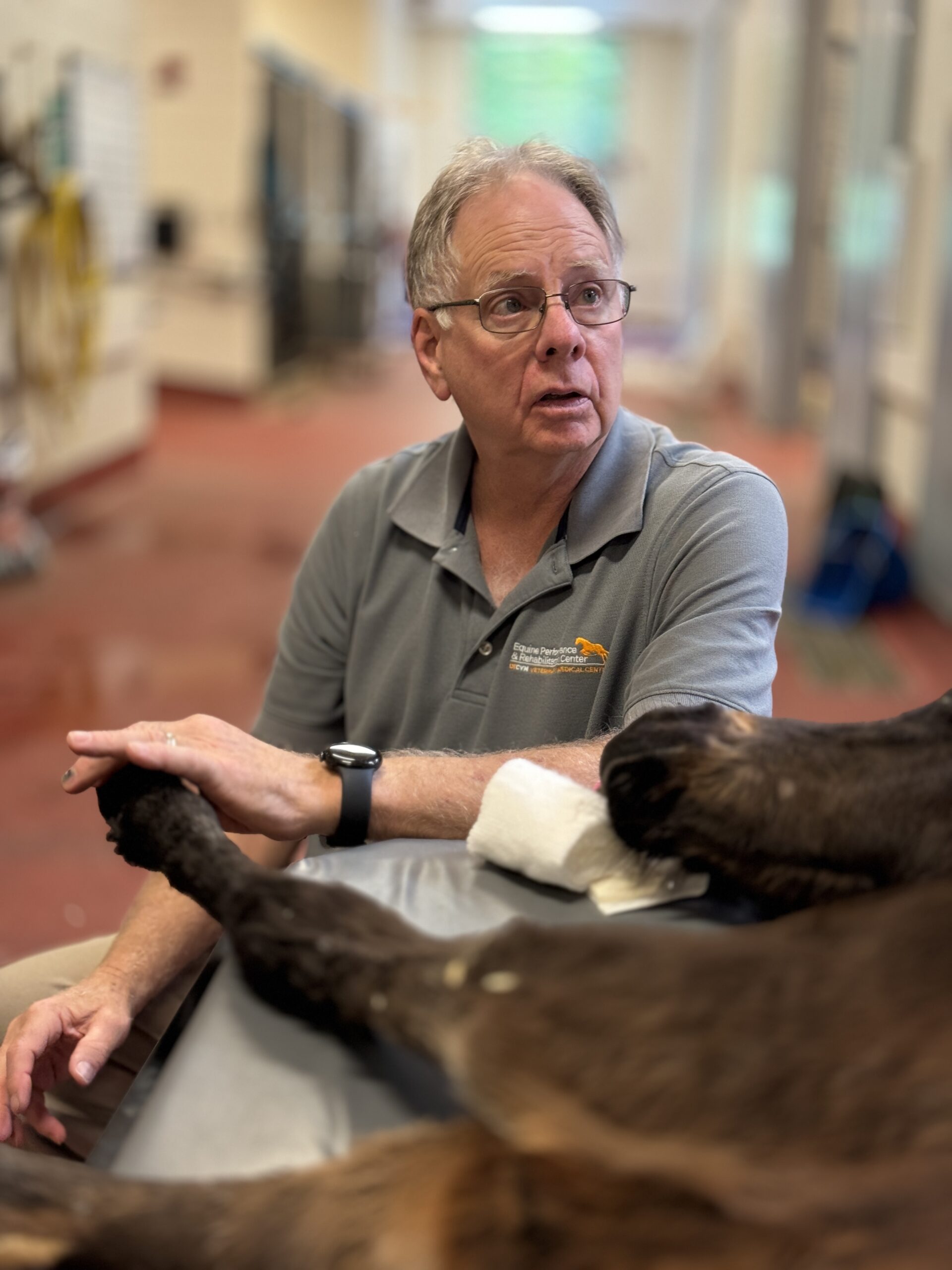 Dr. Steve Adair holding a brown horse's hoof while looking away from the camera.