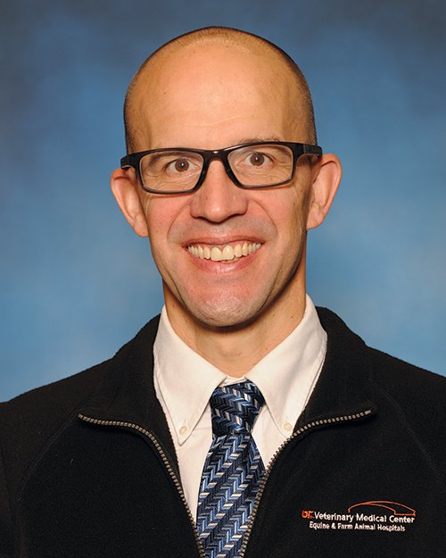 Pierre-Yves Mulon associate professor of farm animal medicine and surgery in the college of Veterinary Medicine.