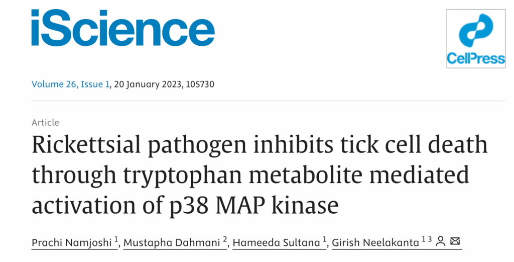 iScience link to article about Rickettsial pathogen inhibits tick cell death through trypophan metabolite mediated activation of p38 kinase.