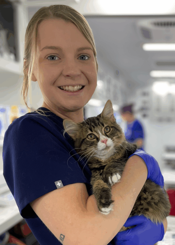 Clinical student Alex Harsell comforts kitten Simon neutered on spay/neuter rotation.