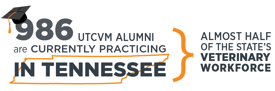 Web graphic showing 986  UTCVM alumni currently practicing in Tennessee.
