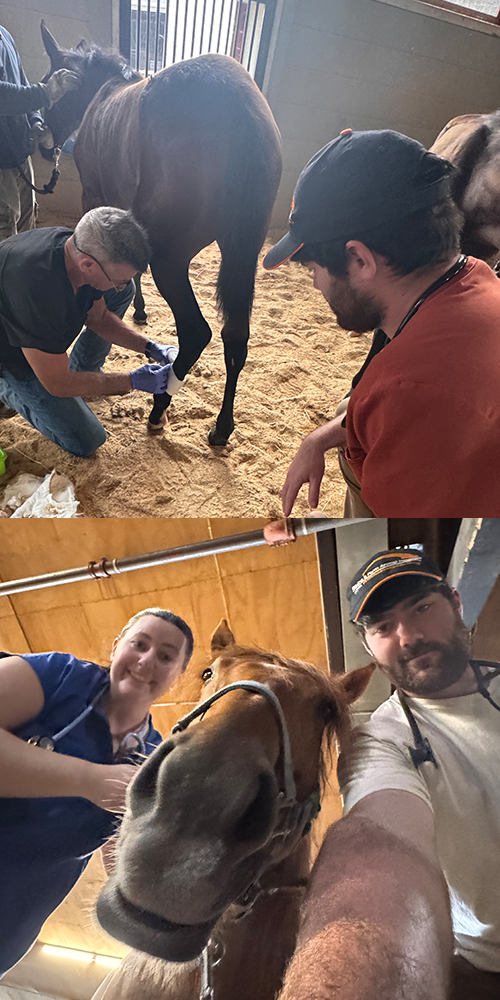 First farm call in the field and Dolly Arena Equina triage selfie.