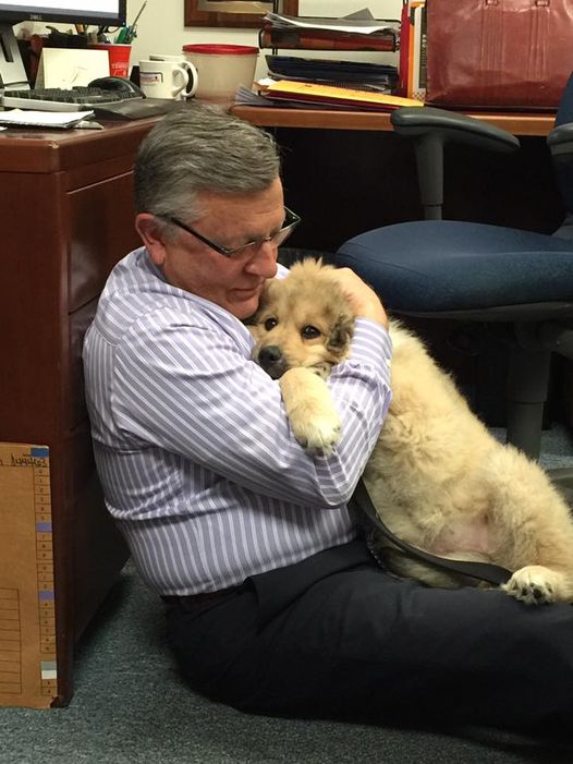Dr. Robert DeNovo holding blond dog in lap on the floor.