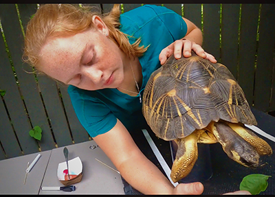 Gabrielle Sammy Mould during the Summer Scholar Research Program.