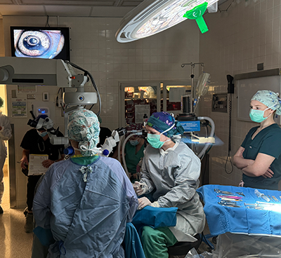 The surgery team removes Challenger’s cataracts at the University of Tennessee College of Veterinary Medicine.