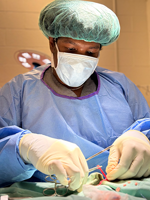 Terey Edwards, now in his clinical year at UTCVM.