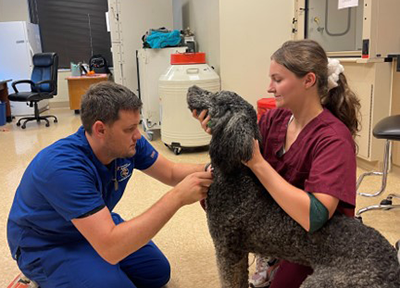Sydney Craig during the Summer Scholar Research Program.