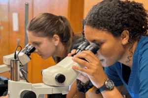 Two students looking through a scope in a class room.