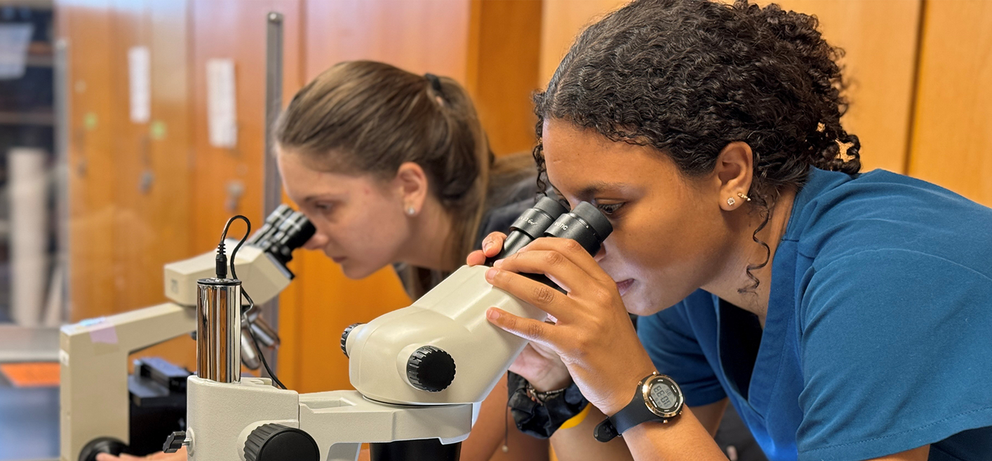 Two students looking through a scope in a class room.