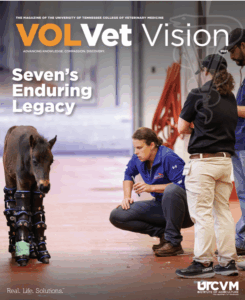VolVet Vision Magazine Seven's Enduring Legacy.