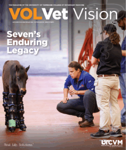 VolVet Vision Magazine cover.