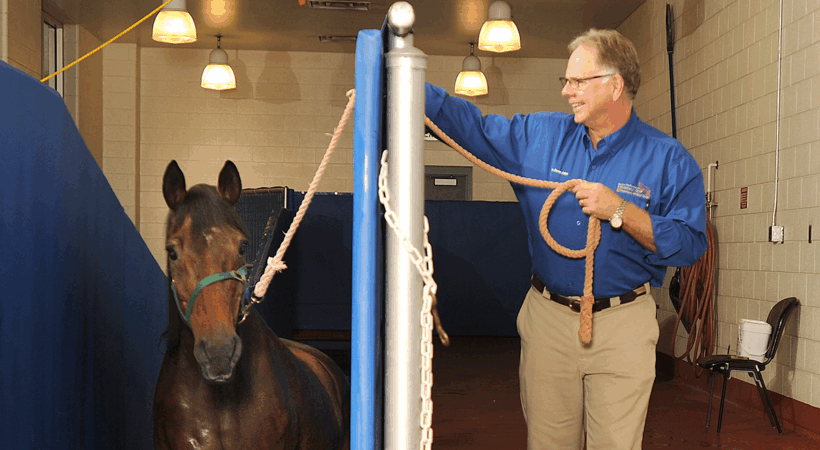 Steve Adair working with a horse in the water treadmill