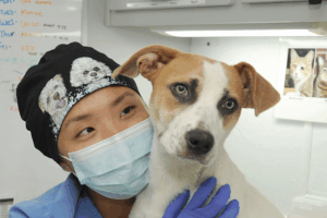 Puppy hugs during a heath check and vaccine appointment with our CAIT team.