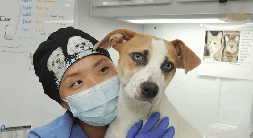 Puppy hugs during a heath check and vaccine appointment with our CAIT team.