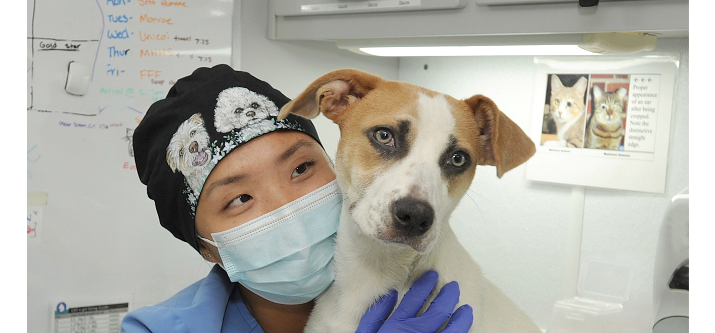 Puppy hugs during a heath check and vaccine appointment with our CAIT team.