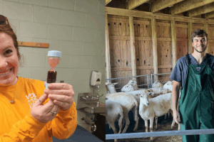 Alexa Gladwell, Class of 2027 holds a vial of blood and Daniel Tallent class of 2027 in front of a pen of goats.