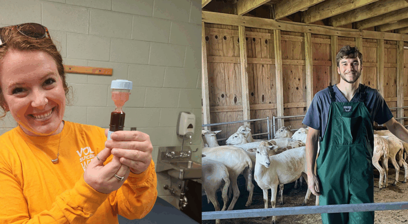 Alexa Gladwell, Class of 2027 holds a vial of blood and Daniel Tallent class of 2027 in front of a pen of goats.