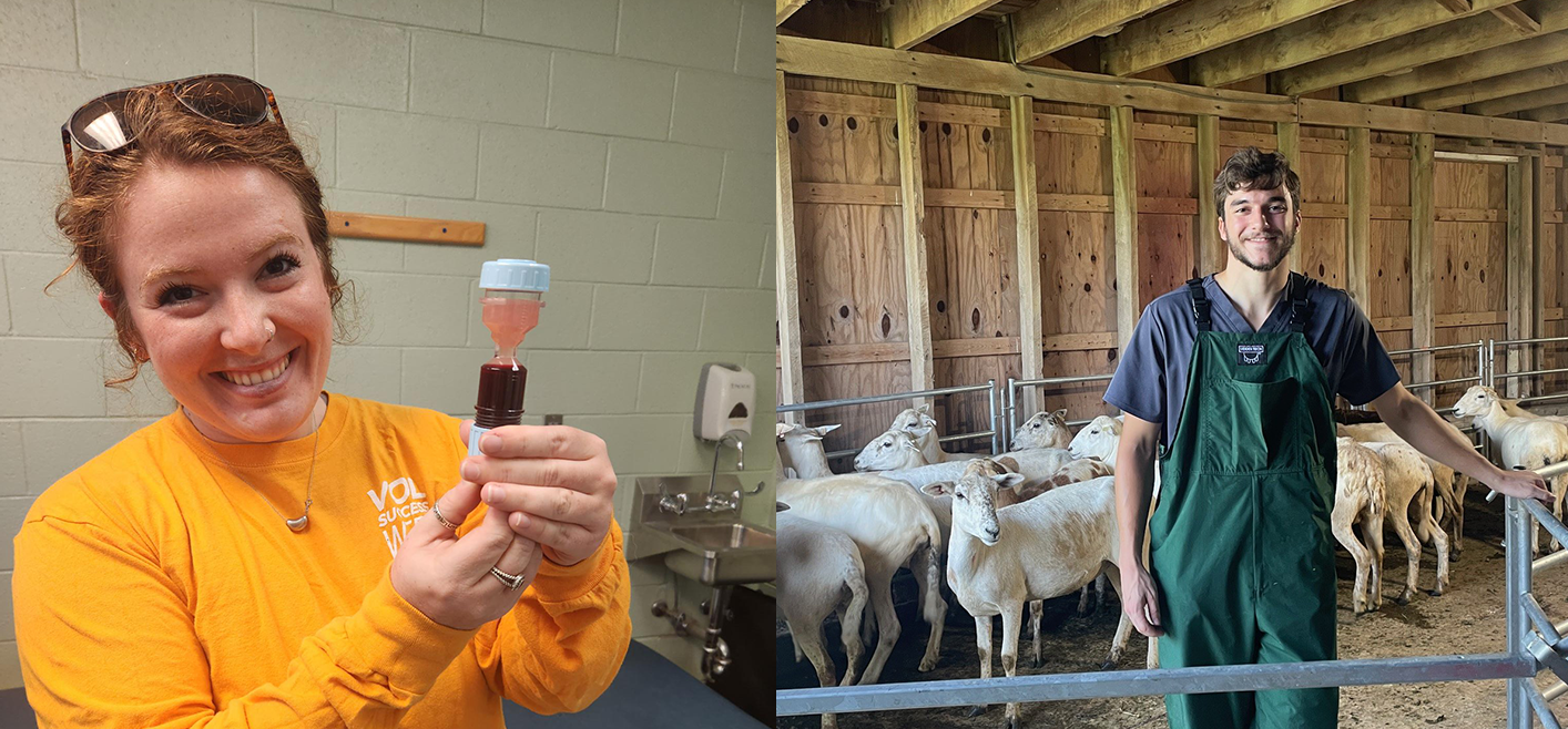 Alexa Gladwell, Class of 2027 holds a vial of blood and Daniel Tallent class of 2027 in front of a pen of goats.