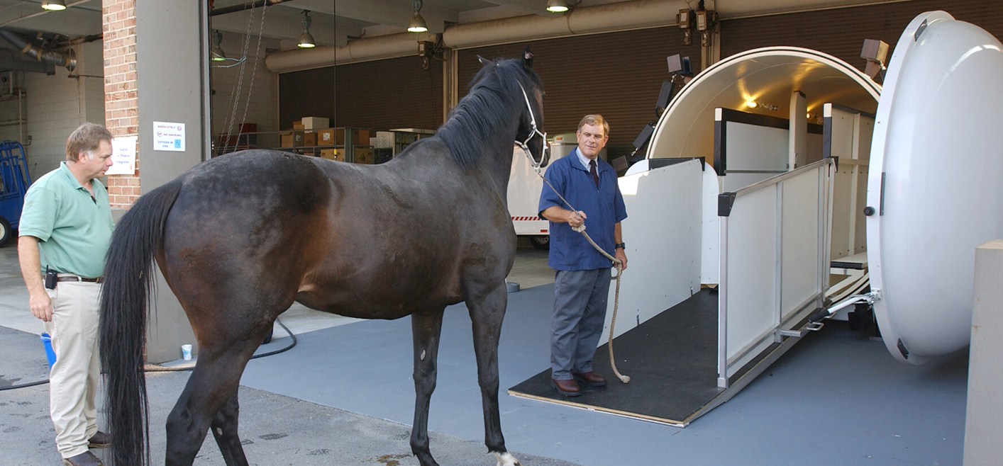 Professor Emeritus Dennis Geiser, leads horse into UTCVM.