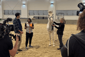 Talisha Moore, assistant professor of veterinary neurology is in the center of Mission Unstoppable seventh-season episode airing on CBS.