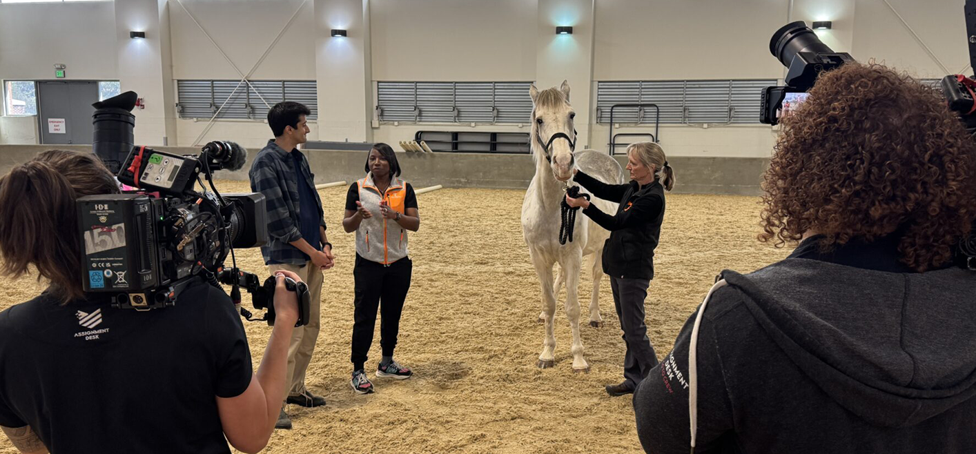 Talisha Moore, assistant professor of veterinary neurology is in the center of Mission Unstoppable seventh-season episode airing on CBS.