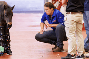 Dr Ursini and team evaluating Seven walking in his braces.