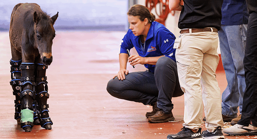 Dr Ursini and team evaluating Seven walking in his braces.