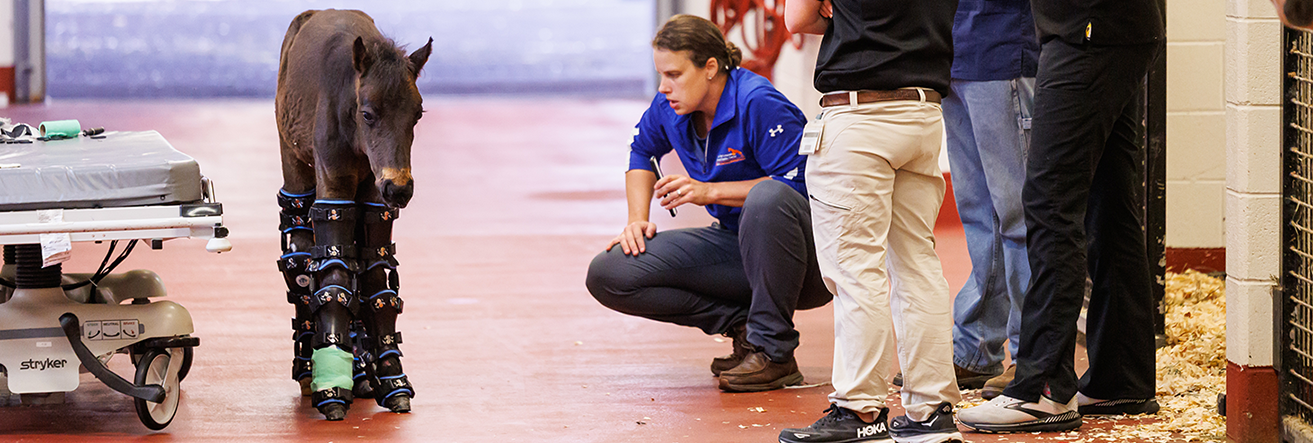 Dr Ursini and team evaluating Seven walking in his braces.