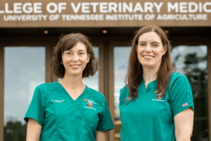 Veterinary Obesity Center support team poses outside UTCVM building.