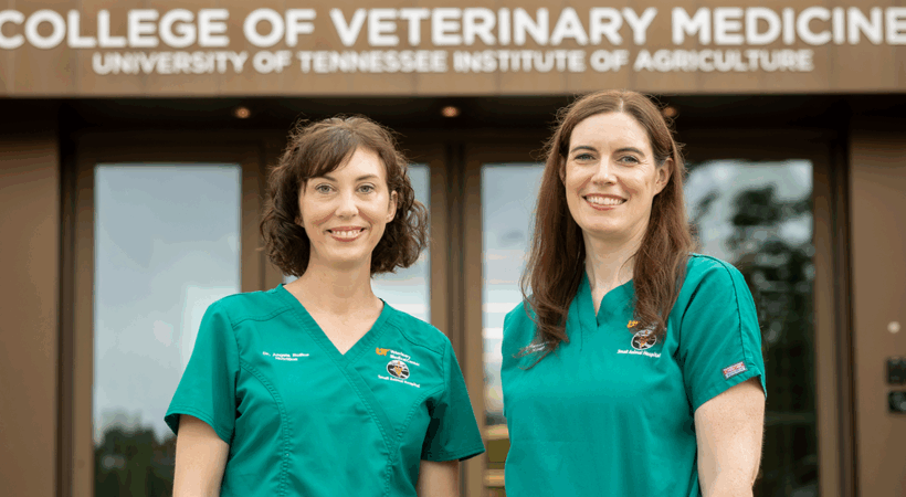 Veterinary Obesity Center support team poses outside UTCVM building.