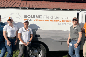 Equine Field Services from the UTCVM helping after the hurricane.
