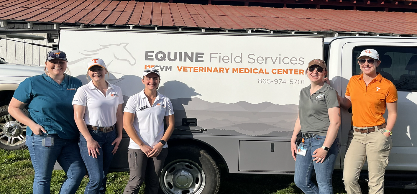 Equine Field Services from the UTCVM helping after the hurricane.
