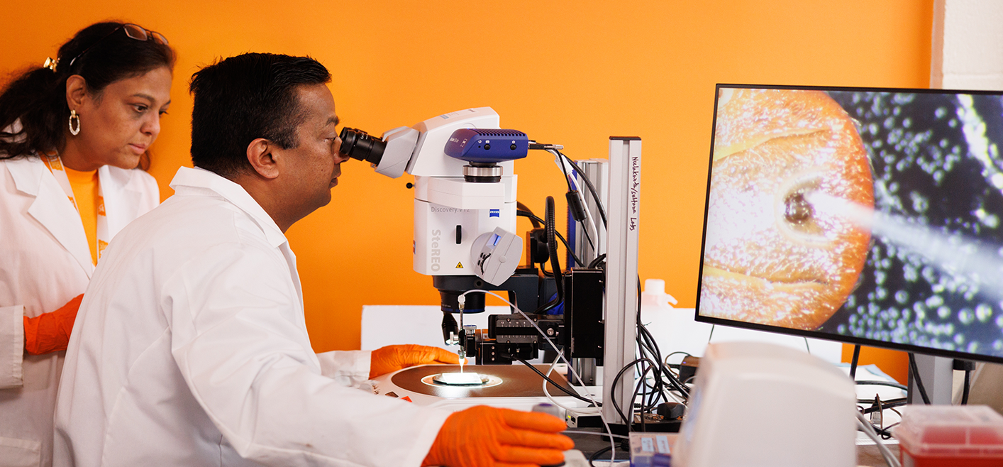 Girish Neelakanta and Hameeda Sultana, professors and vector borne disease researchers in a laboratory.