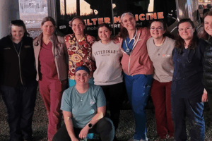 Students working with other community members helping homeless with pet care.