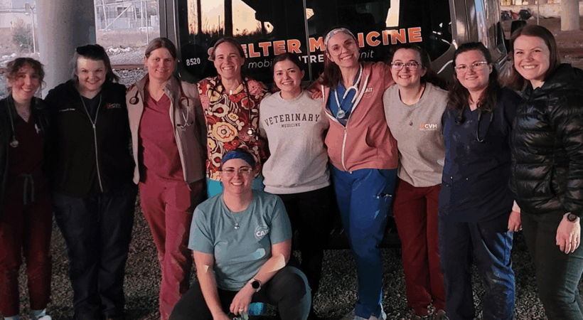 Students working with other community members helping homeless with pet care.