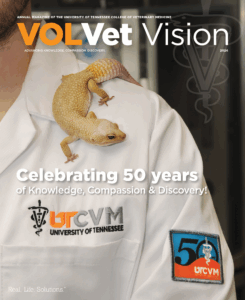 VolVet Vision Front cover of 2024 magazine cover.