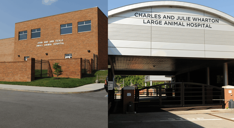 Front of the Small Animal Hospital and Large Animal Hospital.