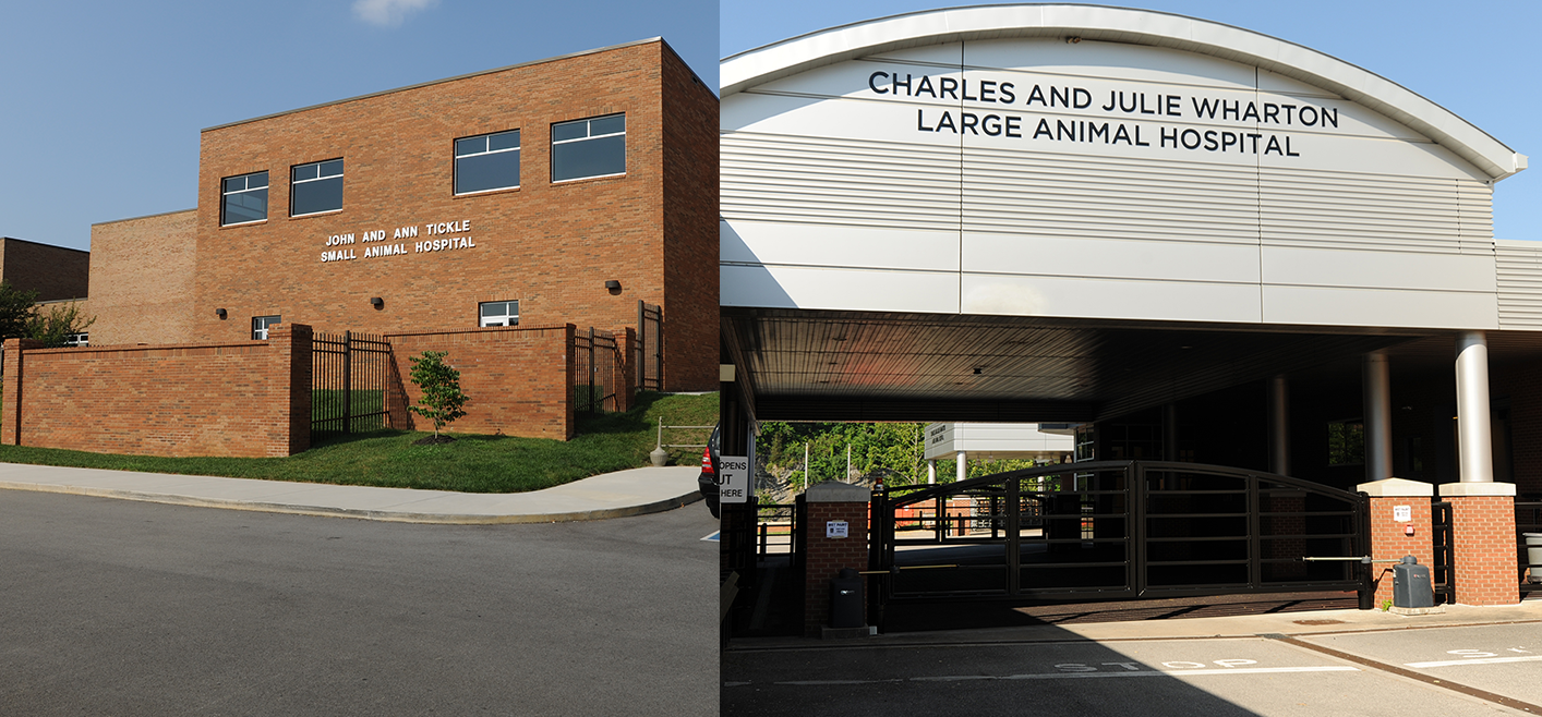Front of the Small Animal Hospital and Large Animal Hospital.