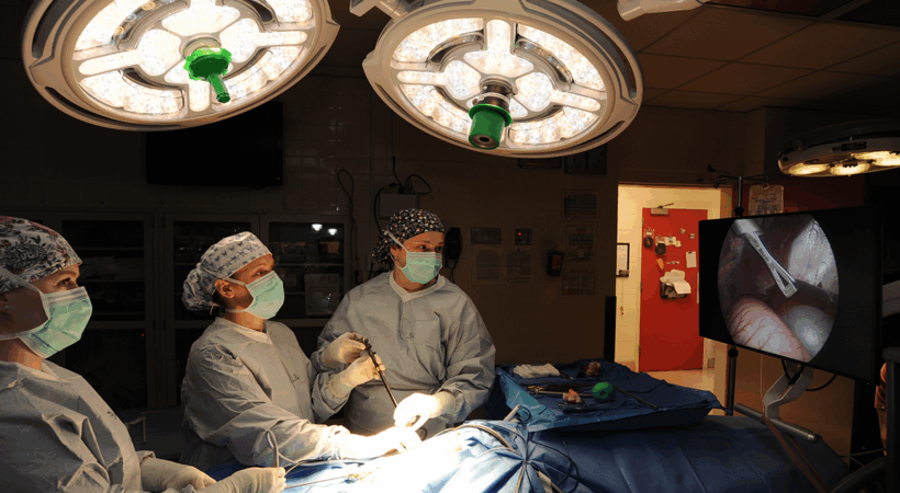 Veterinarians doing surgery in a surgery suite.