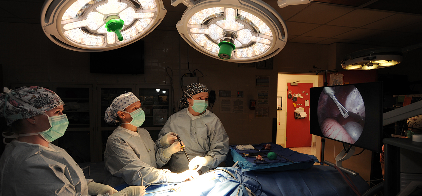 Veterinarians doing surgery in a surgery suite.