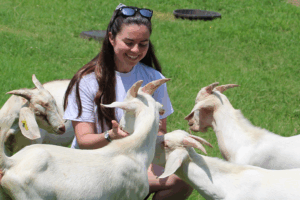 Veterinary students who participate in UTCVM Summer Scholar Research Program.